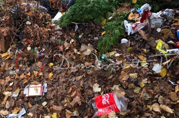 Curățenie în Cartier – cea mai activă comunitate din Dumbrăvița chemată la ordine