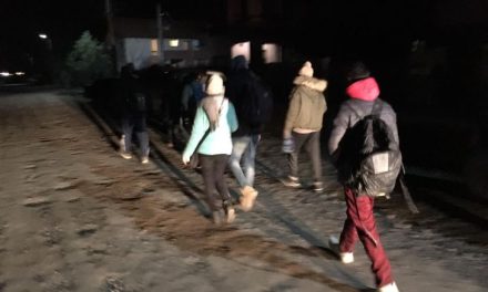 FOTO: Opt migranți prinși de Poliția Locală Dumbrăvița