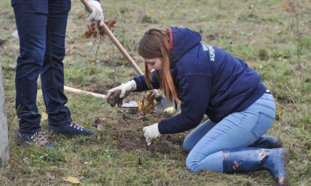 De Ziua Mondială a Pădurii timișenii ies la plantat