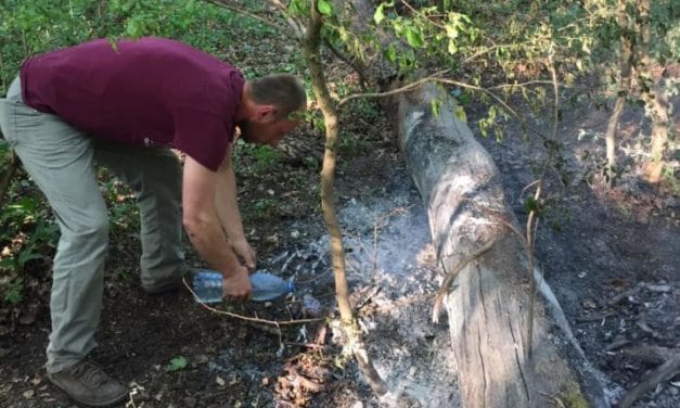 FOTO: Foc pus intenționat în a doua zi de Paște?! Pădurea Verde la un pas de incendiu