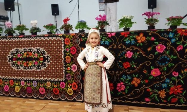 Centrul de Cultură și Artă al Județului Timiș a lansat un concurs de interpretare vocală pentru tineri