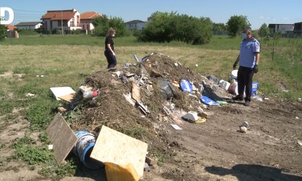 VIDEO: Cum acționează Poliția Locală Dumbrăvița în cazul depozitărilor ilegale de deșeuri
