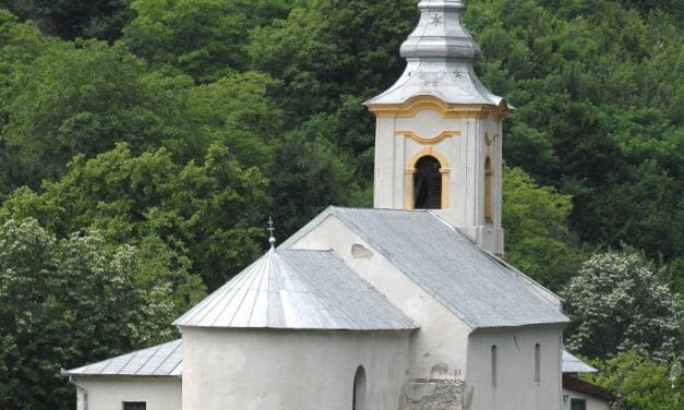 Vizita Sfintei Fecioare Maria la Elisabeta – Sf. Liturghii la Maria Ciclova