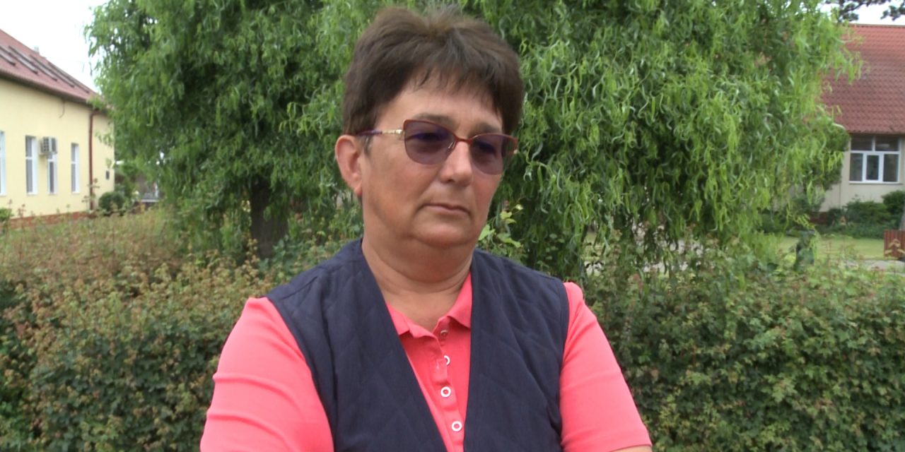 VIDEO: Secția de tenis de masă de la CSC Dumbrăvița își poate relua activitatea – DECLARAȚIE Nicoleta Husar