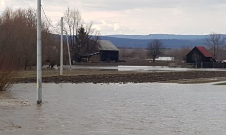 Viitură istorică pe râul Timiș – Un dig de lângă Lugoj s-a rupt