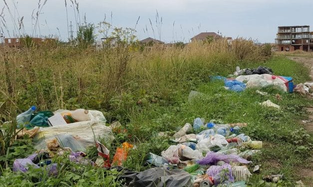 Dumbrăvița RESPIRĂ – La sfârșitul săptămânii avem o acțiune de ecologizare în 15 zone din comună!