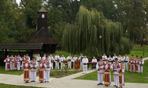EcoHora în Dumbrăvița – Artiștii bănățeni vă invită la o acțiune pro-mediu