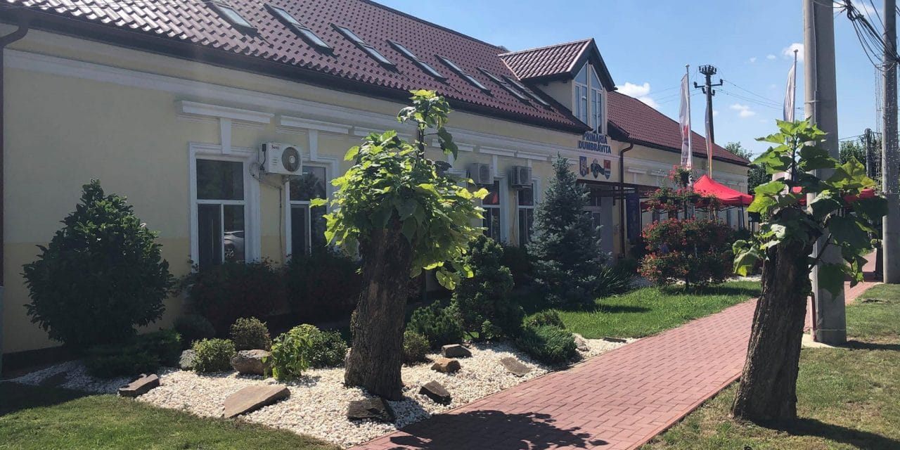Au fost afișate listele cu candidații pentru Primăria și Consiliul Local Dumbrăvița
