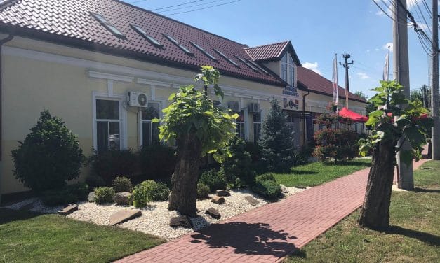 Au fost afișate listele cu candidații pentru Primăria și Consiliul Local Dumbrăvița