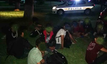 FOTO: Poliția Locală a fost alertată!!! 15 migranți au fost prinși în Dumbrăvița