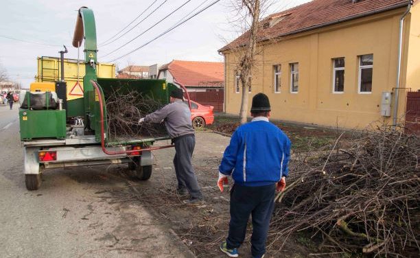 VIDEO: Începe curățenia de toamnă în Dumbrăvița!