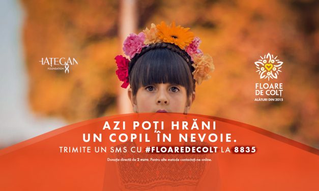 Dm drogerie markt susține și în acest an campania „O floare de colț pentru un prânz cald”