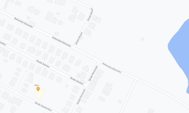 S-au luat măsuri în ce privesc semnele de circulație din intersecția în care Denisa Gog și-a pierdut viața