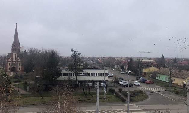COVID-19 în Timiș: Peste 300 de cazuri confirmate în ultimele 24 de ore