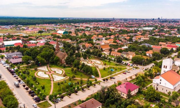 ESTE OFICIAL: S-a decis decalarea Recensământului Populaţiei şi Locuinţelor (RPL2021)