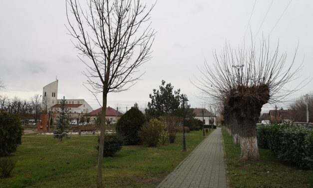 COVID-19 în Dumbrăvița: Peste 20 de îmbolnăviri în ultimele 24 de ore