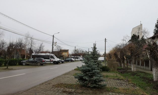 Rata de infectare a scăzut sub 6 la 1000 de locuitori în Dumbrăvița