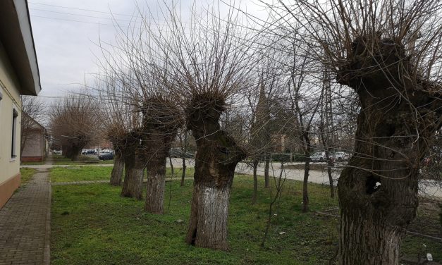 Coronavirus în Timiș, situația pe localități – Dumbrăvița ajunge pe locul patru la rata de infectare, cu 6 cazuri noi de COVID-19
