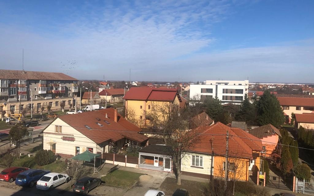 COVID-19: Rata de infectare se menține peste 7/1000 de locuitori în Dumbrăvița