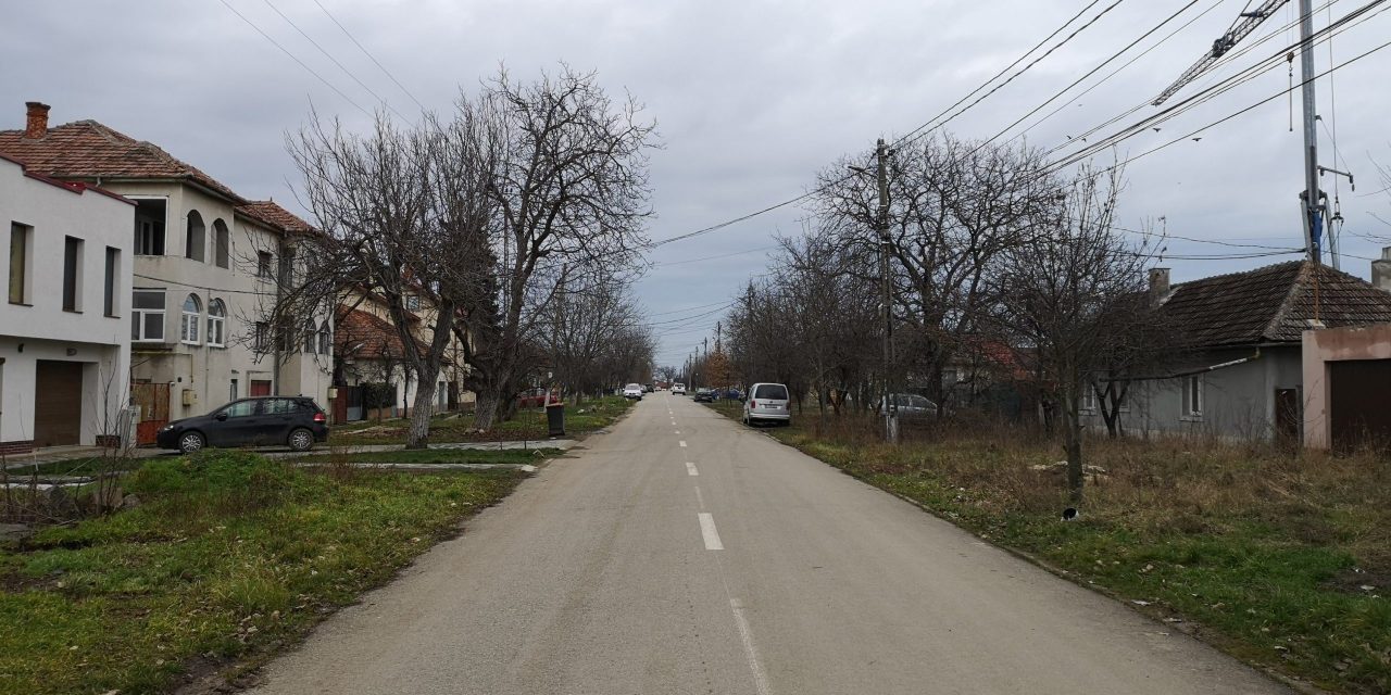 Rata de infectare la o mie de locuitori, în judetul Timis, este 3,383