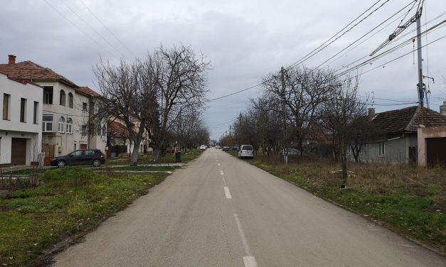Rata de infectare la o mie de locuitori, în judetul Timis, este 3,383