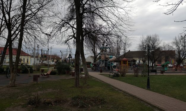 DSP Timiș a anunțat numărul de persoane confirmate cu COVID-19 în ultimele 24 de ore