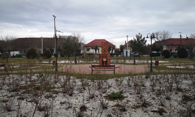 DSP Timiș: Rata de infectare în județ a ajuns la 3,613 – Situația în Dumbrăvița rămâne îngrijorătoare