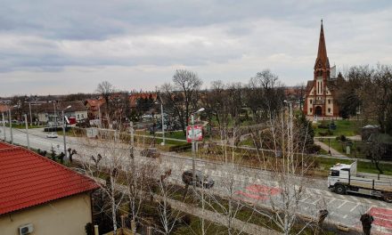 COVID-19: Rata de infectare a trecut de 9/1000 de locuitori în Dumbrăvița