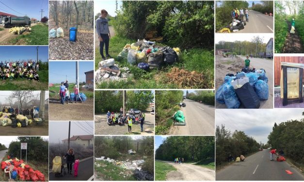 UPDATE: CleanUP, acțiunea de ecologizare din Dumbrăvița & Pădurea Verde se mută în APRILIE