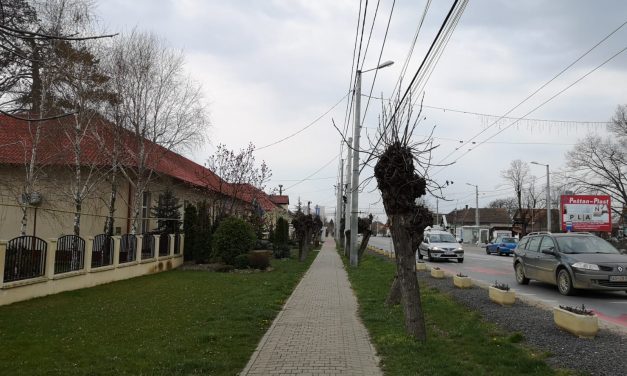 În Dumbrăvița rata se menține sub 6/1000. Cum se prezintă situația epidemiologică în județul Timiș conform DSP