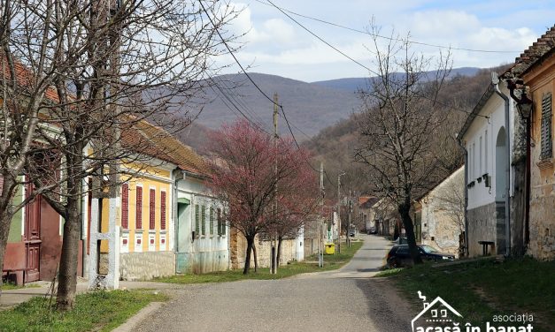 Asociația Acasă în Banat dă startul înscrierilor pentru voluntari la Color the Village 2021