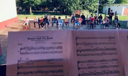 Concerte’n sat: copiii au nevoie de o abordare ludică a muzicii