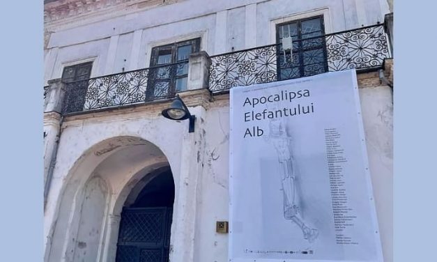 Proiecție de film în cadrul expoziției Apocalipsa Elefantului Alb