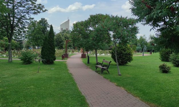 Noi cazuri de îmbolnăviri cu Covid-19 în Dumbrăvița