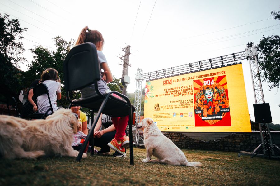 A început ediția din 2021 a Rod Festival – Zilele Recoltei Cinematografice