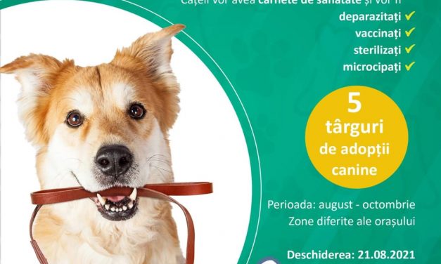 Primăria Timișoara lansează campania de adopție a câinilor fără stăpân – “Și mie îmi stă bine în lesă! Ia-mă acasă!”