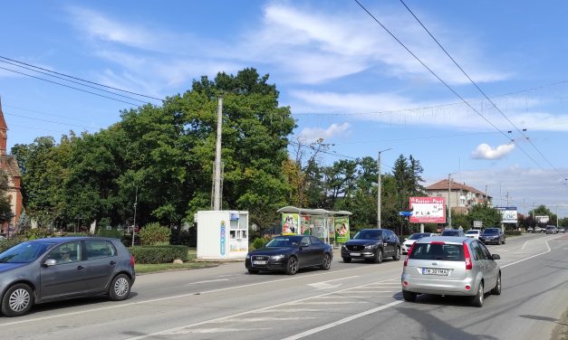 DSP Timiș/ Dumbrăvița a trecut pragul de 4 la mia de locuitori