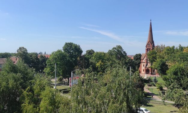 DSP Timiș/ În Dumbrăvița rata de infectare continuă să crească