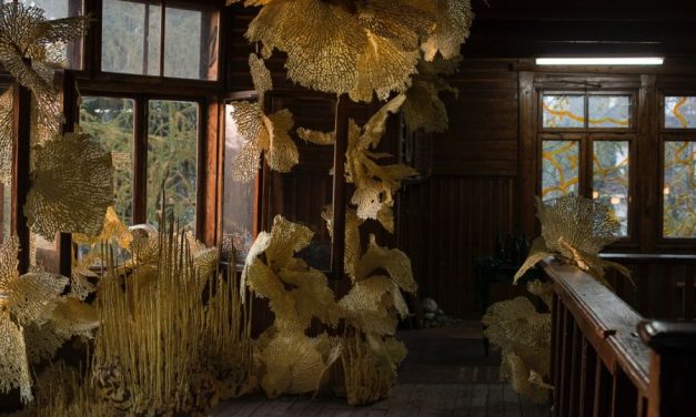 Cel mai ambițios eveniment dedicat artei contemporane din România vă așteaptă la Timișoara