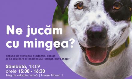 Fotbaliștii de la SSU Politehnica Timișoara susțin adopția câinilor fără stăpân