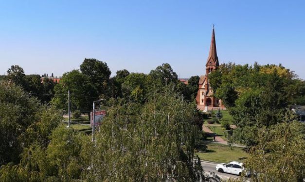 Direcția de Sănătate Publică Timiș anunță noi infectări din DUMBRĂVIȚA, rată în creștere!