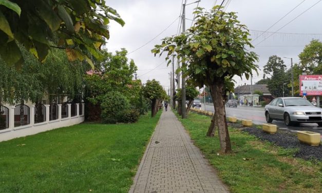 DSP TIMIȘ: Zeci de noi cazuri de infectare în Dumbrăvița – Unde s-a stabilizat rata