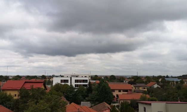 DSP Timiș/ 50 de persoane confirmate COVID-19 în ultimele 24 de ore