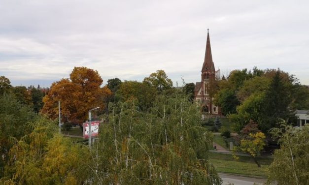 DSP TIMIȘ: Incidența COVID-19 în Dumbrăvița continuă scăderea