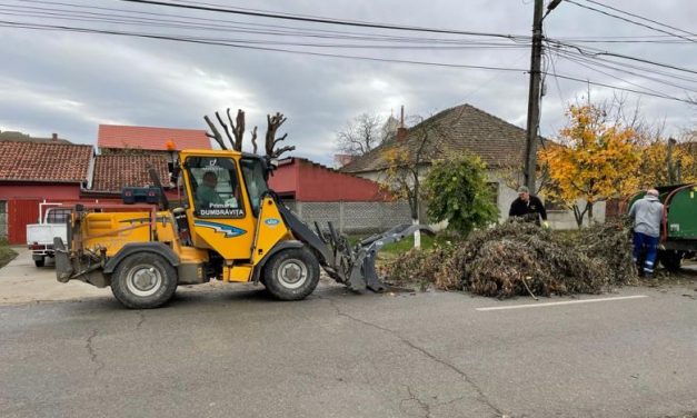 Lucrătorii Dumbrăvița Investiții au colectat crengile din comună, urmează frunzele uscate din sacii transparenți!