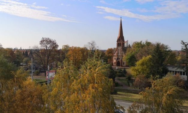 O nouă zi fără îmbolnăviri COVID-19 în Dumbrăvița! Rata de infectare a mai scăzut sub un prag important