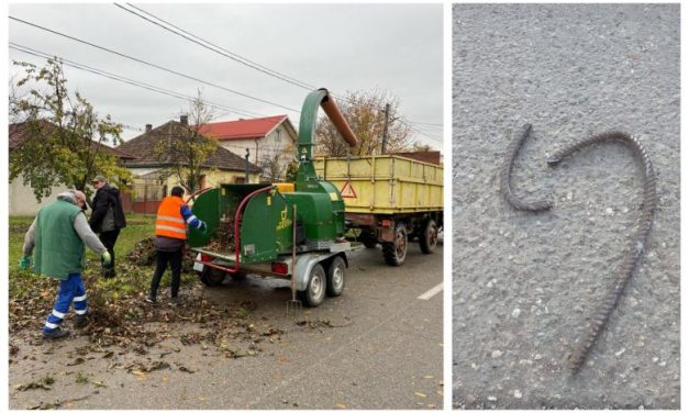 CURĂȚENIA de TOAMNĂ – O bară de fier beton a stricat tocătorul de crengi | Dumbrăvița Investiții face apel la respectarea regulilor