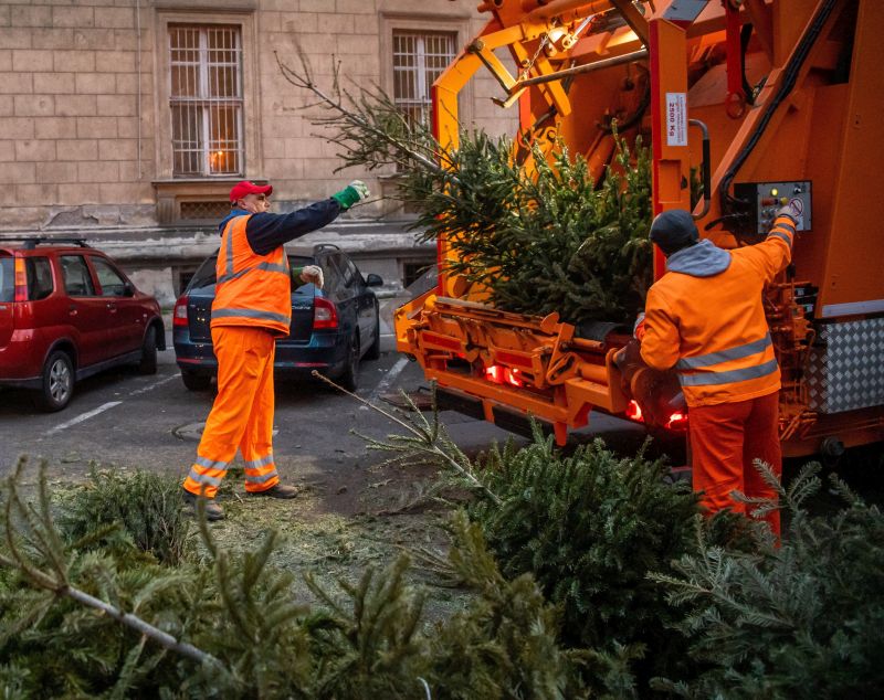 Domeniile Murani desfășoară o campanie de colectare și reciclare a brazilor de Crăciun