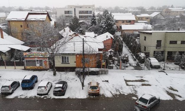 Bilanț COVID-19: Crește rata de infectare în DUMBRĂVIȚA și în alte localități din TIMIȘ