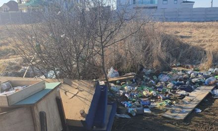 FOTO: Poliția Locală Dumbrăvița a soluționat repede o sesizare online – Ce amendă a primit proprietarul terenului